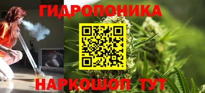 Альфа ПВП Рузаевка