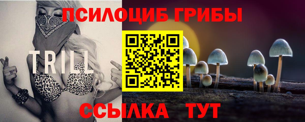 Галлюциногенные грибы прущие грибы  Псилоцибиновые грибы GOLDEN TEACHER  даркнет сайт  Новоалександровск  Вход с VPN 